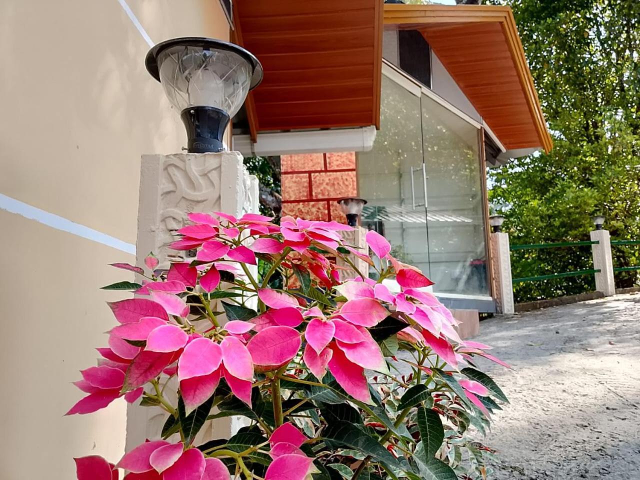 Cloudscape Homestay Pīrmed 외부 사진
